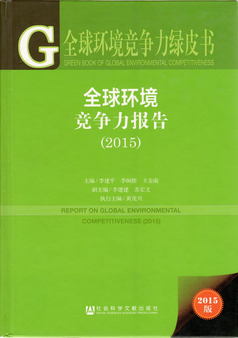 日本大鸡吧视频全球环境竞争力报告（2017）