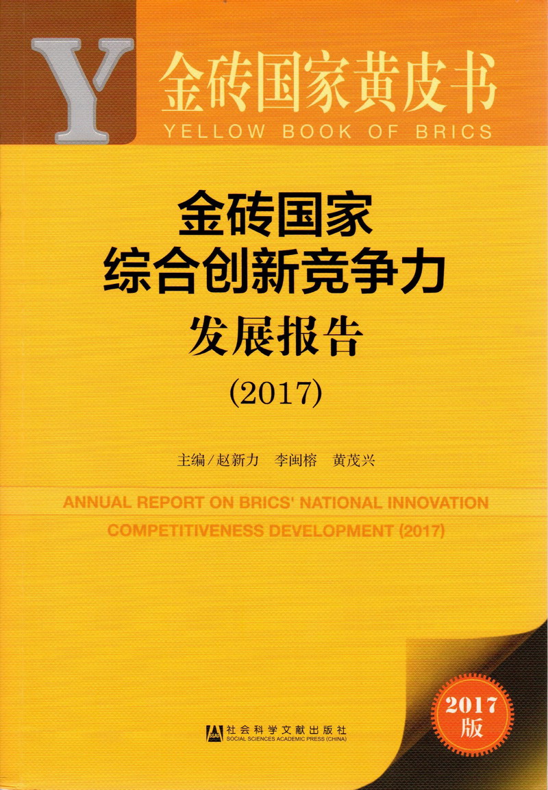 男人透女人播放器金砖国家综合创新竞争力发展报告（2017）